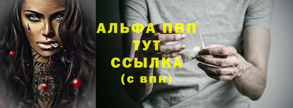 твердый Дмитров