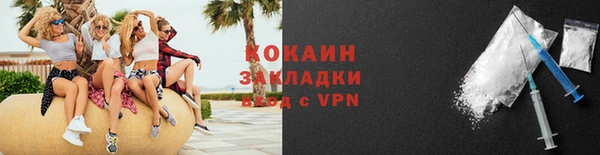 твердый Дмитров