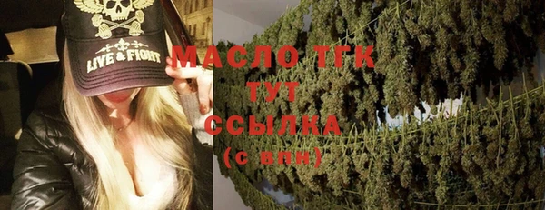 твердый Дмитров