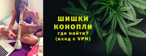 твердый Дмитров
