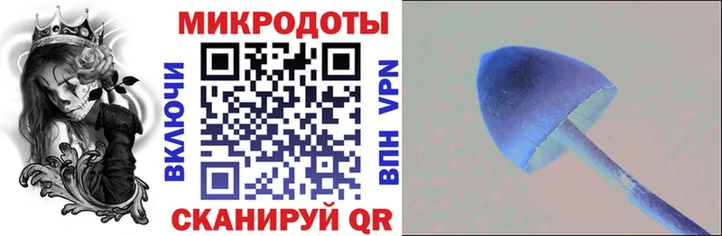 Купить  Шадринск  Псилоцибиновые грибы ЛСД 